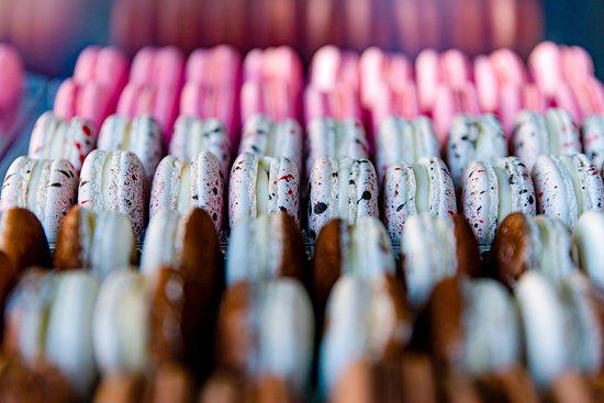 Bloom - Feed Your Mind